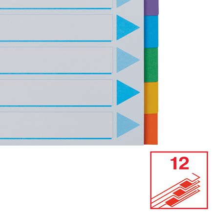 Separatori in Cartoncino Esselte A4 12 Tasti 100202 Assortiti 5902812002027